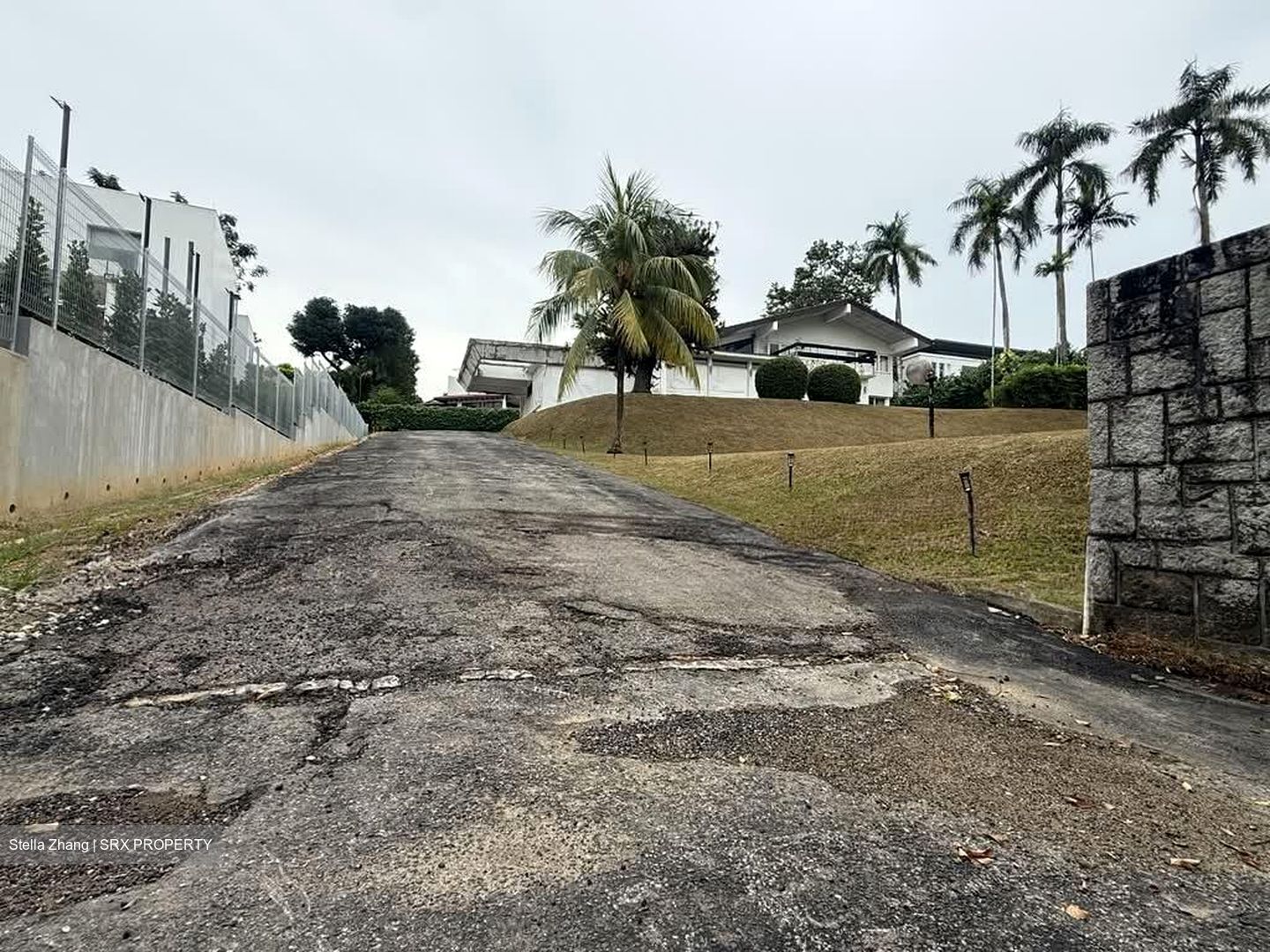 Leedon Park (D10), Detached #543494451